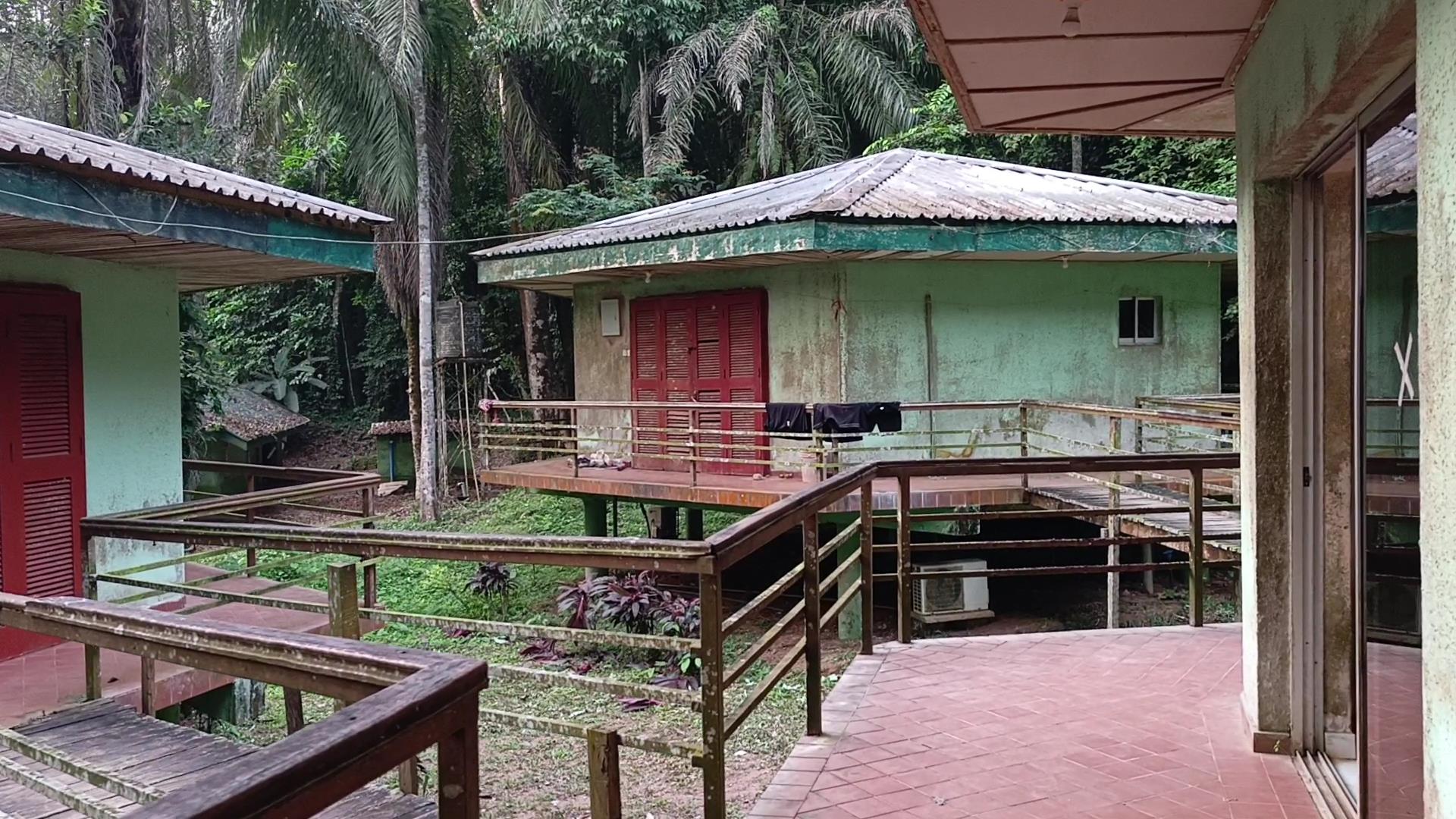 Chalets arrange around the lounge.jpg