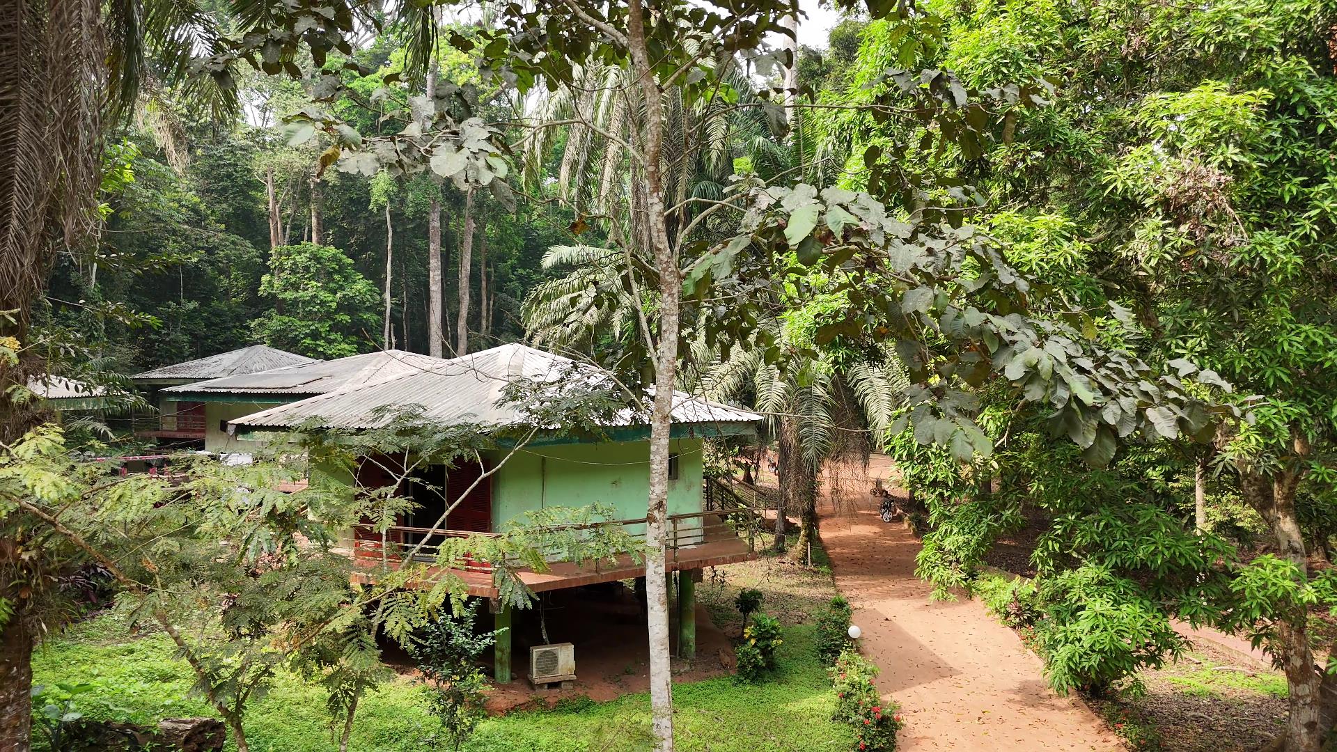 Ample space to walk around inside Okomu National Park Lodge at Arakhuan Range Base.jpg Ample space to walk around inside Okomu National Park Lodge at Arakhuan Range Base.jpg