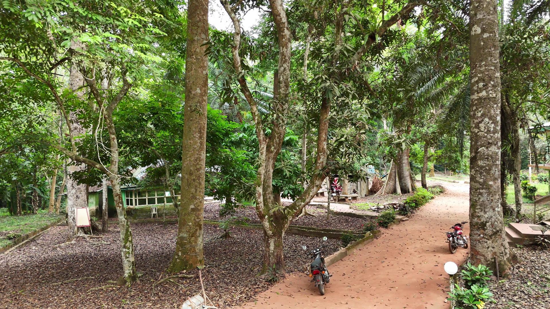 Okomu National Park lodge at Arakhuan Range Base-Calm and serene.jpg Okomu National Park lodge at Arakhuan Range Base-Calm and serene.jpg