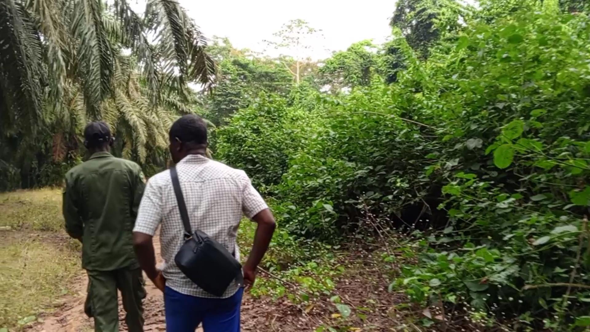 onpboundarywithoopc.jpg onpboundarywithoopc.jpg