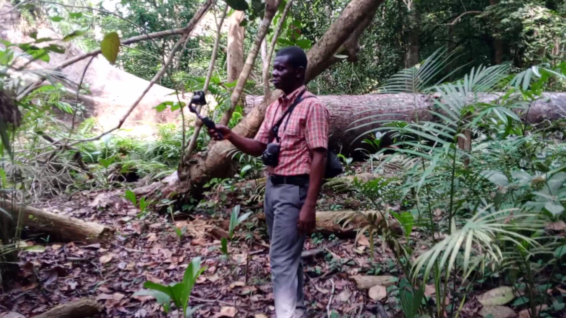 At Former tree house location.jpg At Former tree house location.jpg